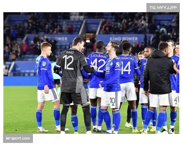 埃弗顿进步显著但赛程因素存疑 防守稳固性大幅提升 埃弗顿进步显著但赛程因素存疑 防守稳固性大幅提升